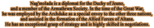Nag'molada is a diplomat for the Duchy of Jeuno, and a member of the Armathrwn Society. In the time of the Great War, he was employed by the Archduke as a special envoy to the other three nations, and assisted in the formation of the Allied Forces of Altana.He has an exceptional grasp of strategy and is highly skilled in negotiations.